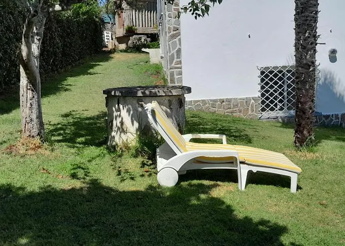 La Cruz Del Sur - \