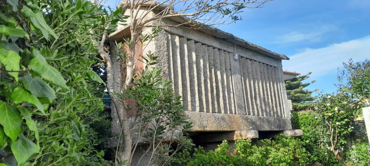 Apartment La Cruz Del Sur - 